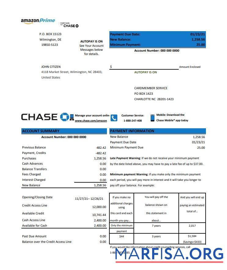 Realistic USA Chase credit card statement word example